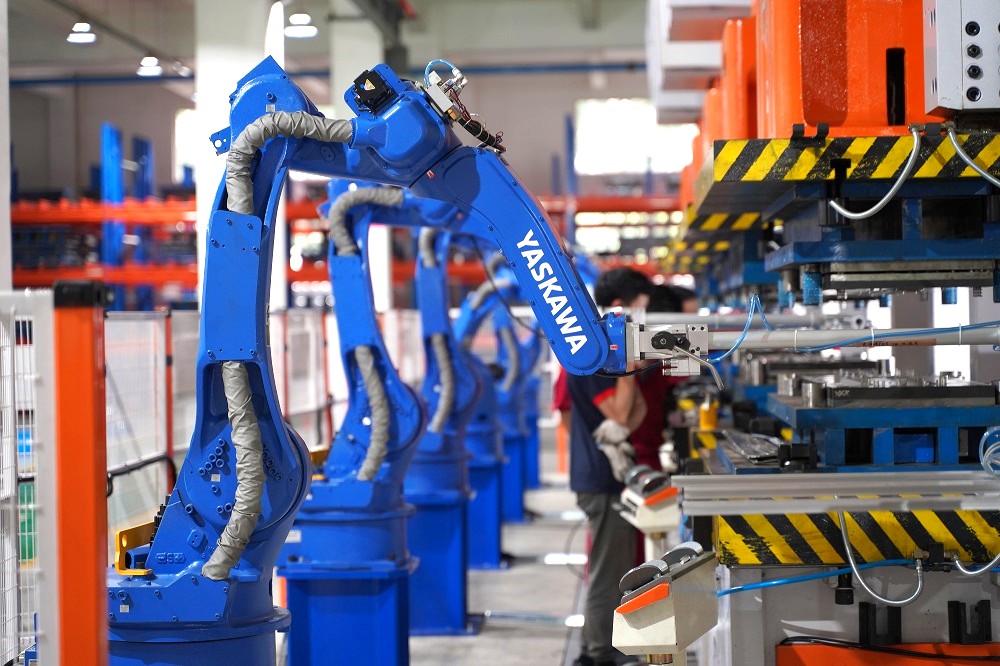 1600246054752118.jpg D11.jpg