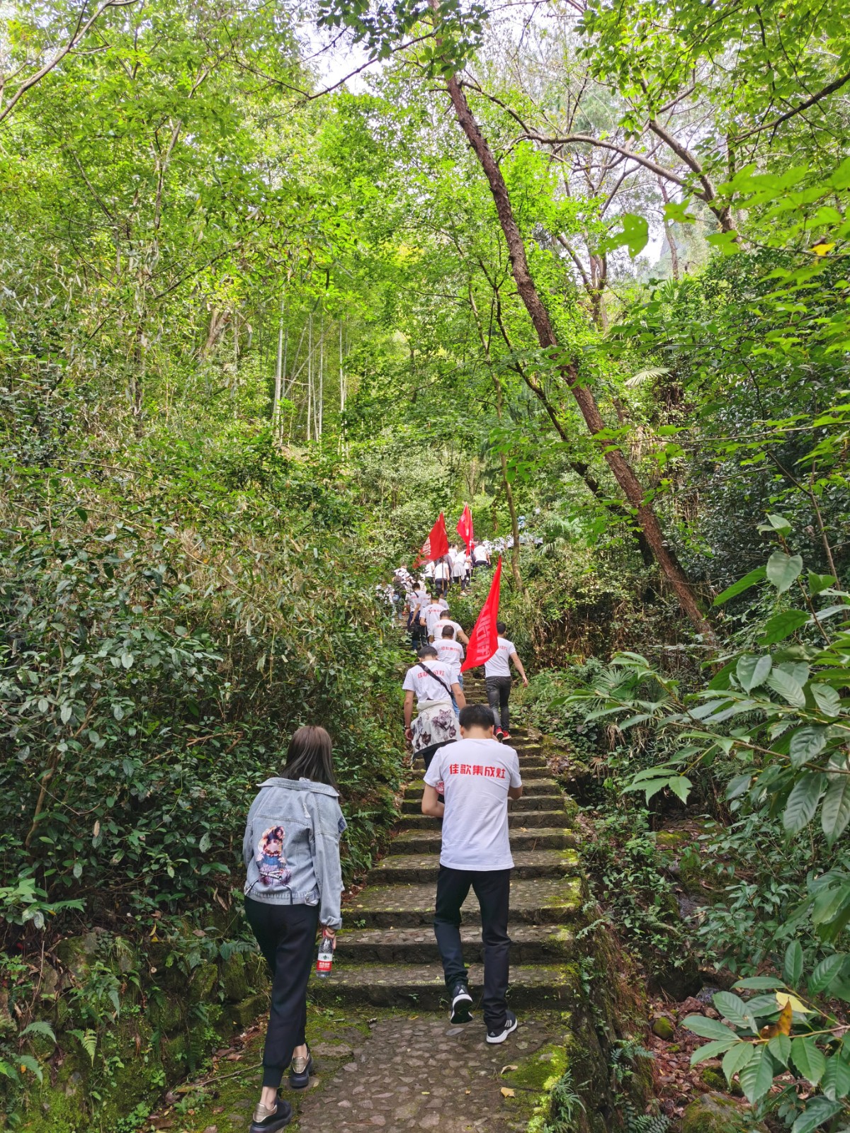 1602318051866901.jpg 2.jpg