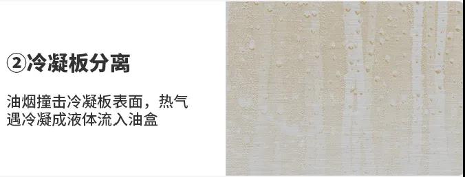 还地球一片绿色,佳歌与你一佟行动! 还地球一片绿色,佳歌与你一佟行动!