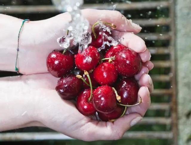 车厘子自由了却不敢吃？佳歌帮你另辟蹊径畅享美食