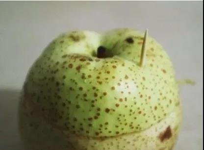 一雷惊蛰醒，今天要用什么来叫醒你的胃？