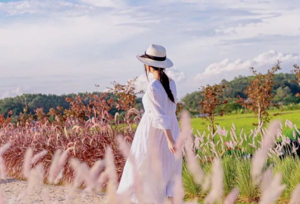 高品质生活，佳歌集成灶你值得拥有！