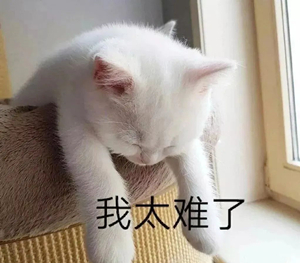 时间很急，美味告急！幸好有佳歌A6DZK蒸烤独立集成灶！