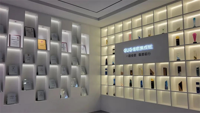 两会聚焦“专精特新”金字招牌，佳歌始终不忘初心！