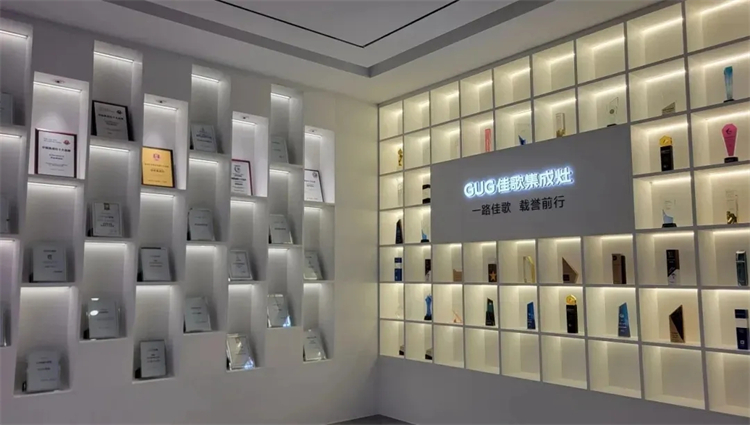 嵊州市委常委陈鑫云一行莅临佳歌二期智能化新工厂参观考察！